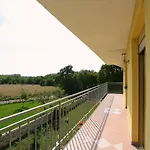 Tomic * Nedeščina